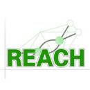 REACH檢測(cè)